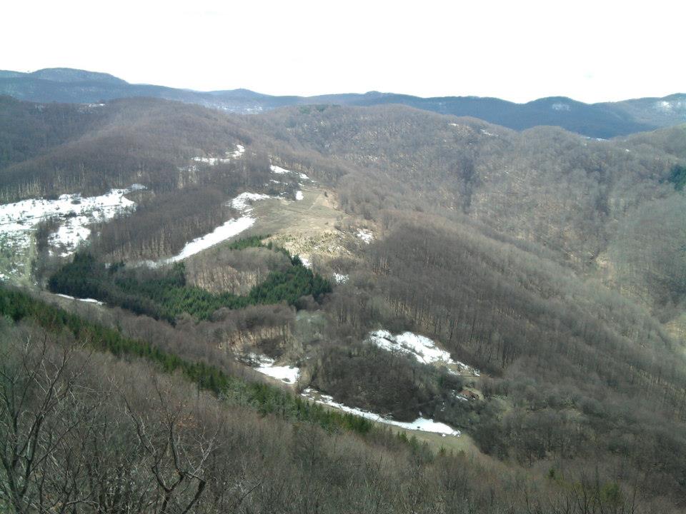 Panorama lovišta Orlovica